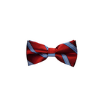 Load image into Gallery viewer, Red w/ Blue Stripes Matching Bow Tie
