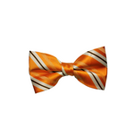 Load image into Gallery viewer, Orange w/ White &amp; Black Stripe Matching Bow Tie

