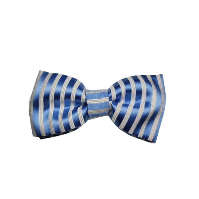 Light Blue Stripe Bowtie Matching Dad and Son Ties