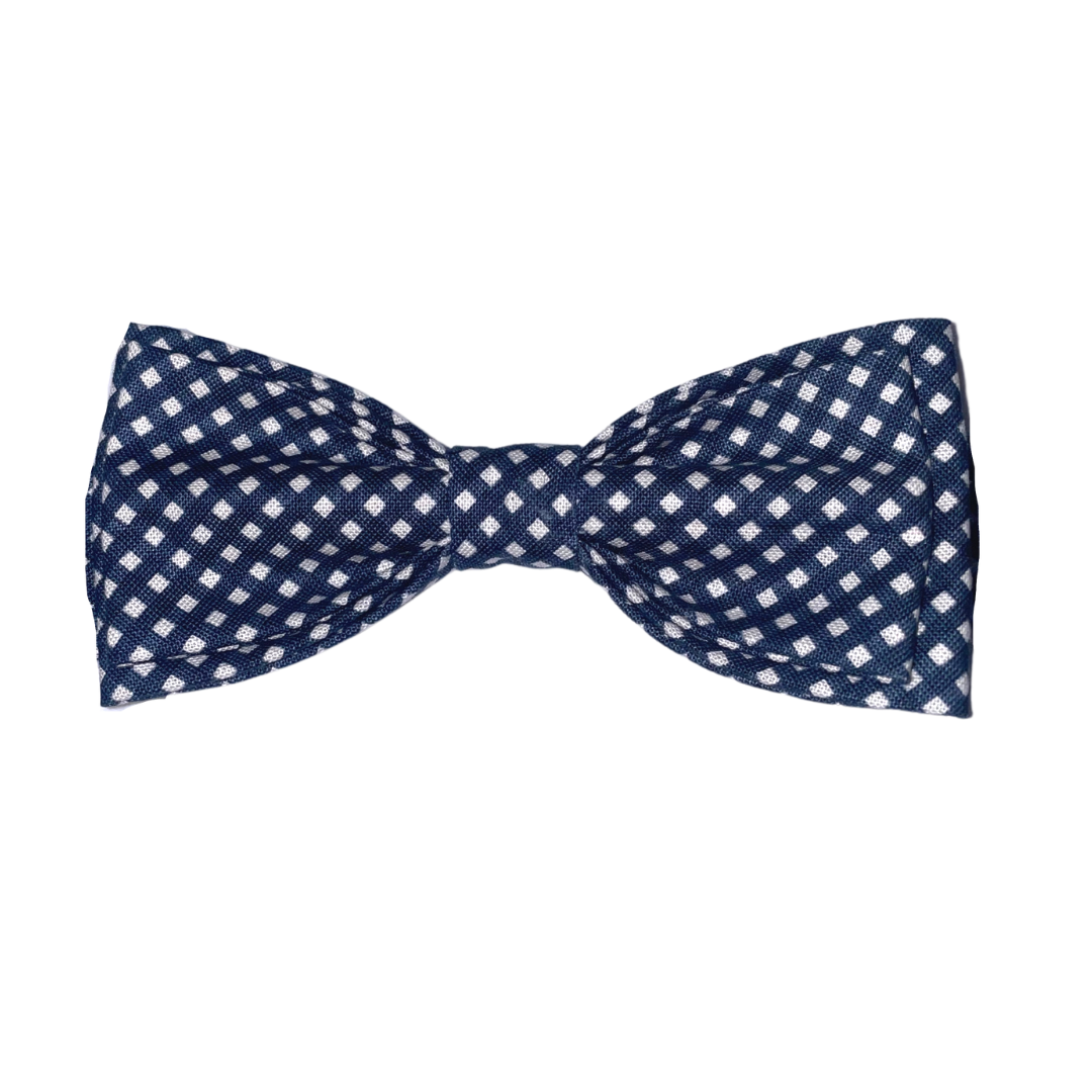 Blue Boy's Bow Tie