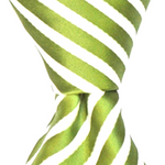 Load image into Gallery viewer, Green Stripe Matching Ties
