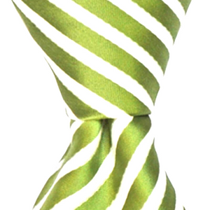 Green Stripe Matching Ties