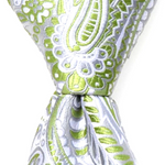 Load image into Gallery viewer, Silver &amp; Green Paisley
