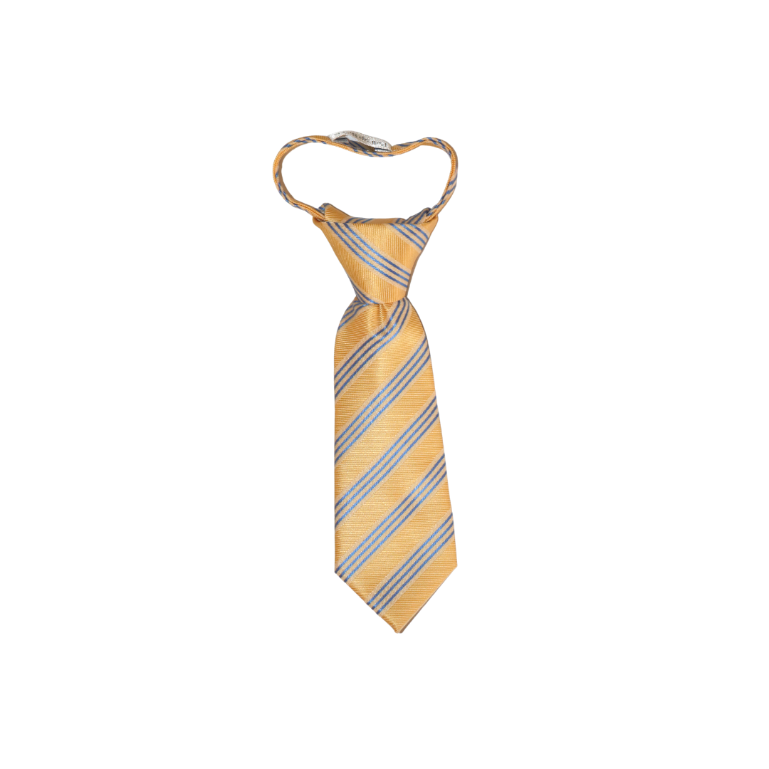 Yellow with Blue Stripes Boys Tie