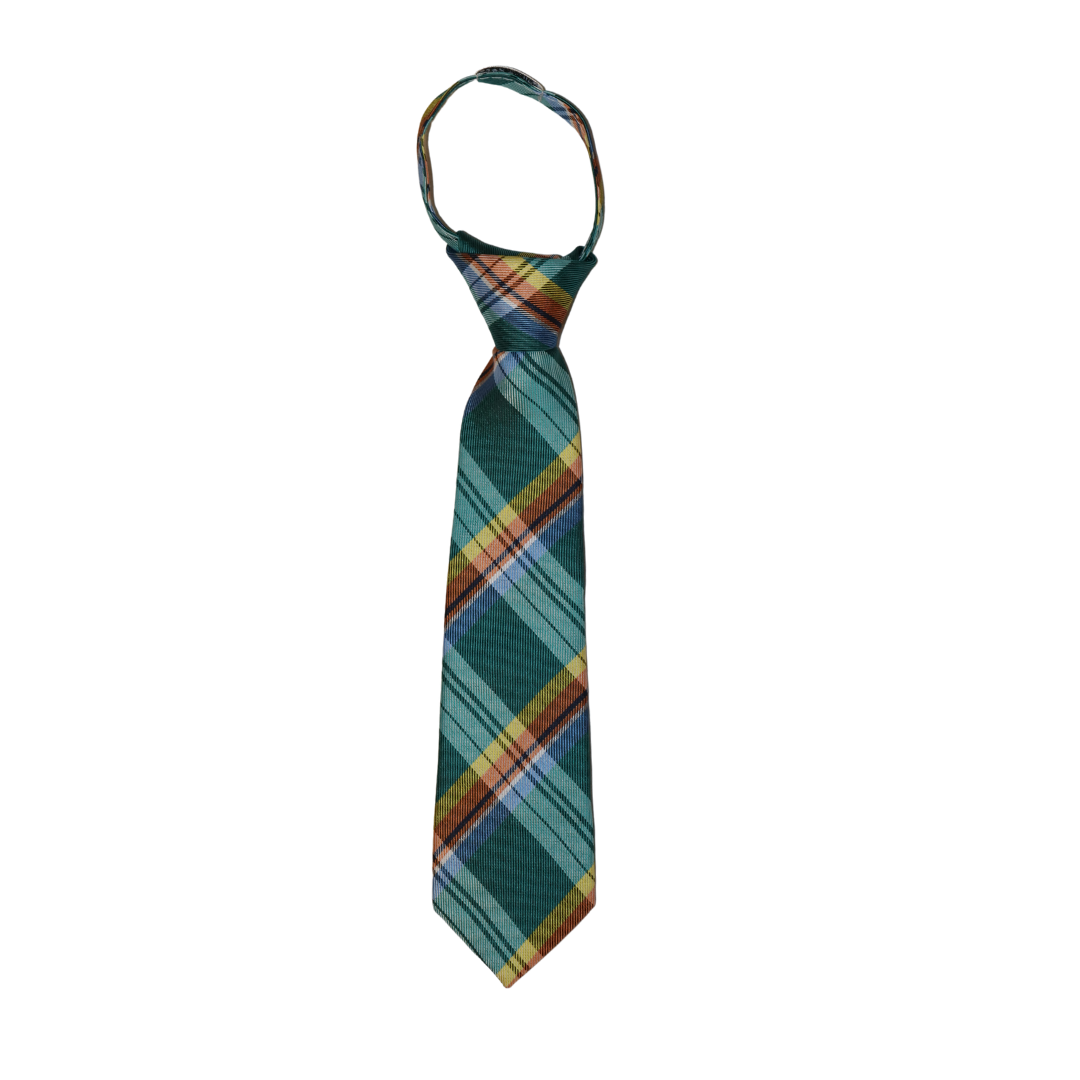 Green & Multi Color Plaid